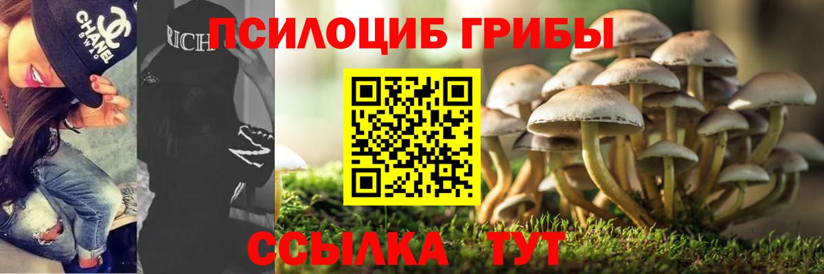 Балашов  Псилоцибиновые грибы GOLDEN TEACHER  Псилоцибиновые грибы Psilocybe  Вход с VPN 