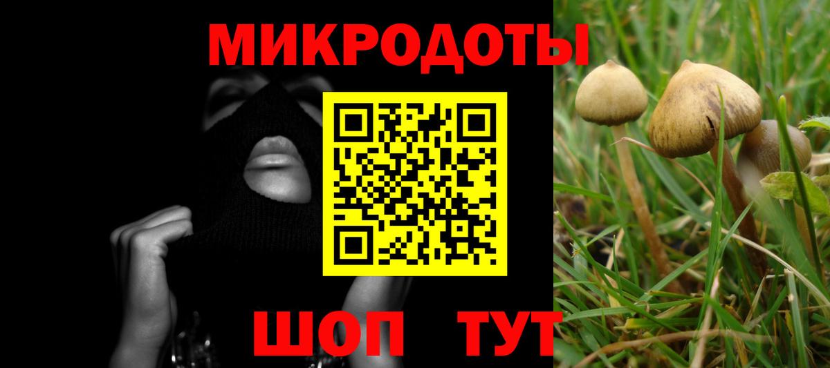 Галлюциногенные грибы GOLDEN TEACHER Балашов